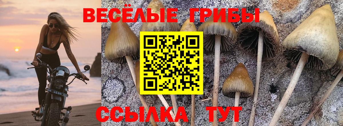 Уссурийск  Псилоцибиновые грибы Psilocybine cubensis  Вход с VPN 