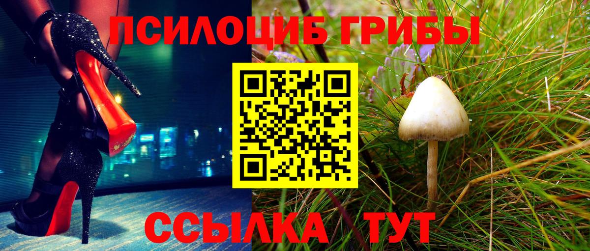 Псилоцибиновые грибы мухоморы Уссурийск